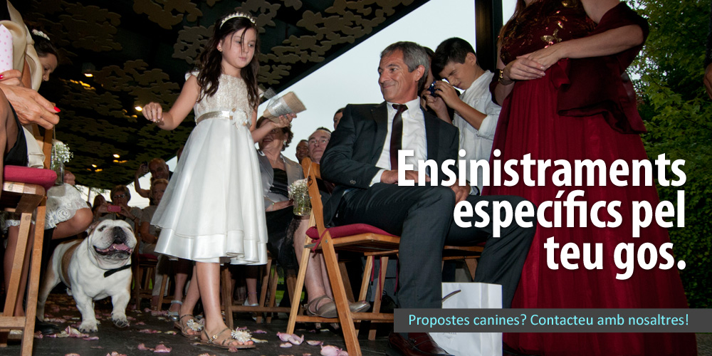 004baner_ensinistraments