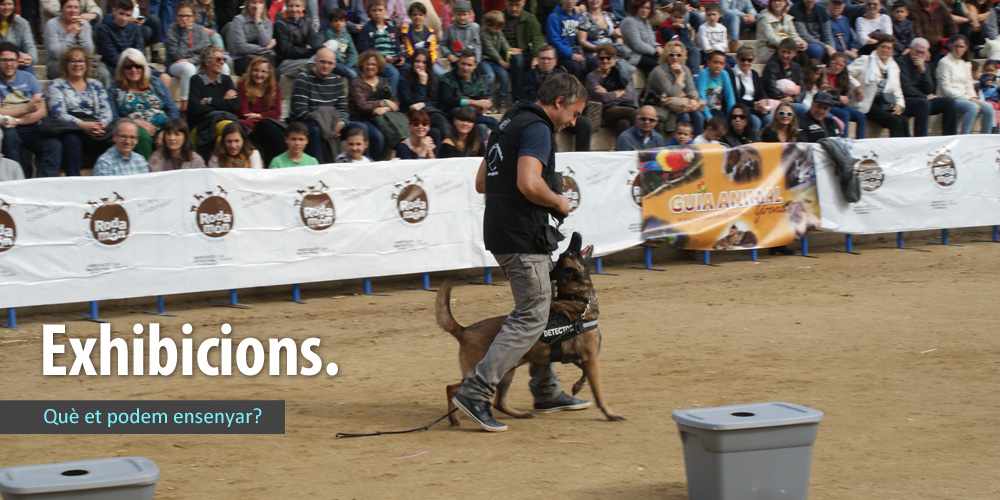 010baner_exhibicions